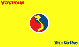 Vovinam Viet Vo Dao flag